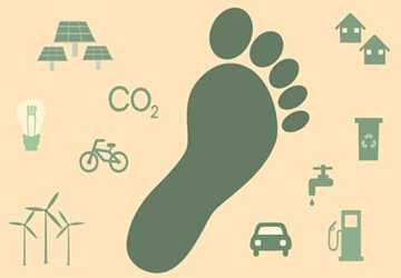 How to offset your carbon emissions