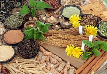 5 Amazing Adaptogens That Beat Stress and Boost Resilience